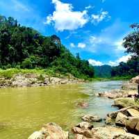 Jungle Trekking for the Adventurous Backpacker