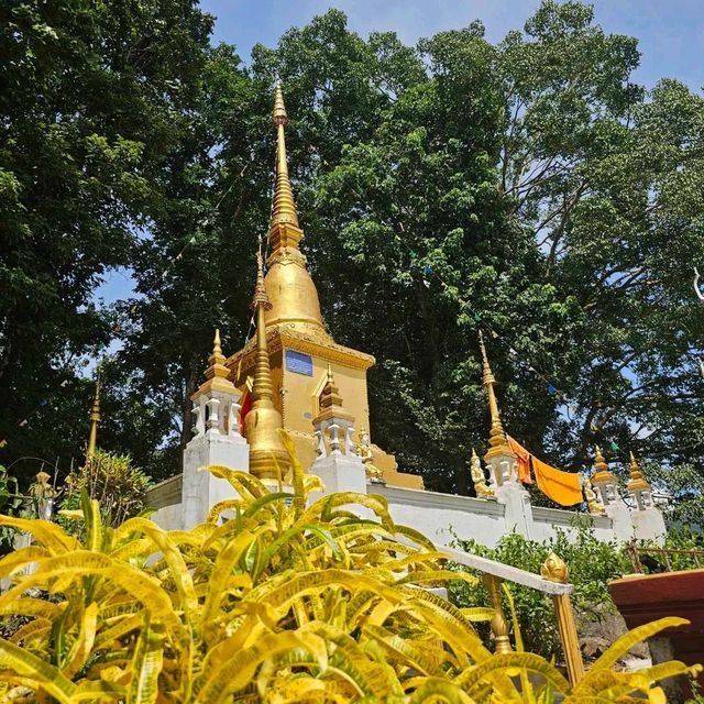 วัดป่ากล้วย   อ.สะเมิง จ.เชียงใหม่