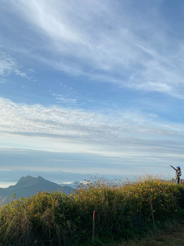 ชมทะเลหมอกที่ภูชี้ฟ้า จ.เชียงราย ⛰️⛅️🌳🌼