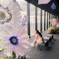 [渋谷]天空の小さな世界✨期間限定のお花畑間に合いました🌼