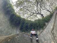 Fort Canning Tunnel แนวธรรมชาติ