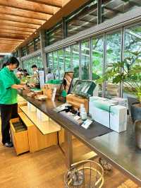 Experience the essence of Jeju @ Innisfree House 🇰🇷 