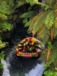 🇳🇿 Best Place for White Water Rafting 📍Kaituna River, Rotorua 