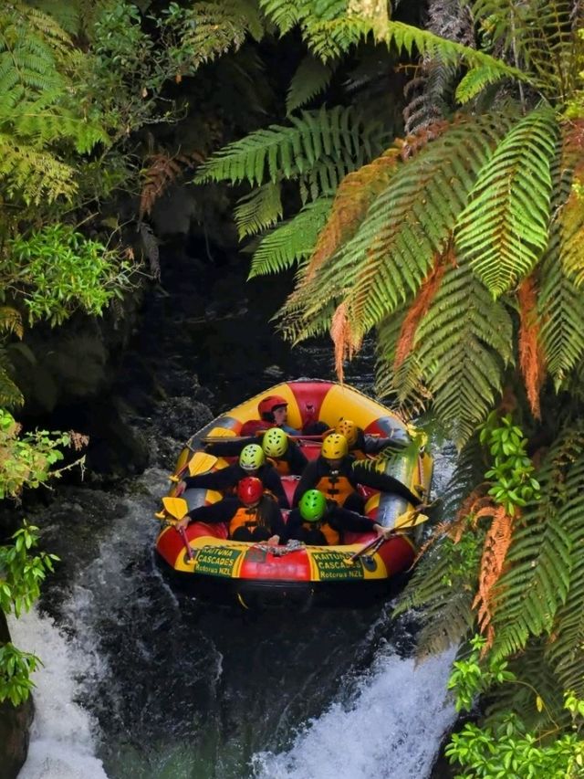 🇳🇿 Best Place for White Water Rafting 📍Kaituna River, Rotorua 