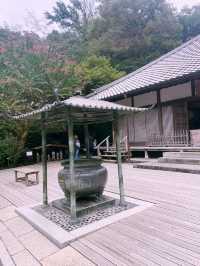 【神奈川県/北鎌倉　秋の明月院も趣がある庭園や風景を堪能できてオススメ！】