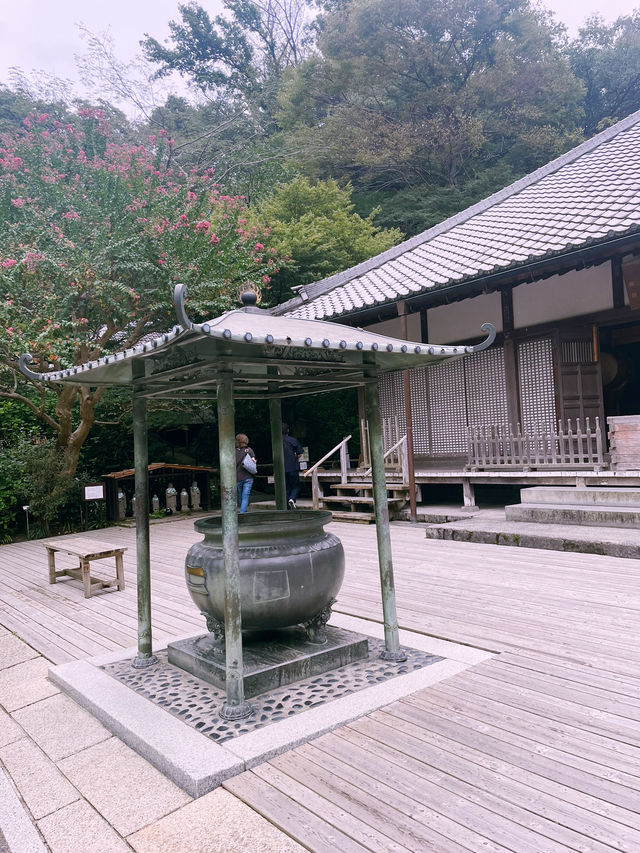 【神奈川県/北鎌倉　秋の明月院も趣がある庭園や風景を堪能できてオススメ！】