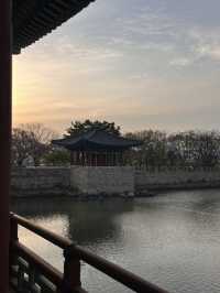 경주 여행가서 안갈 수 없는 곳 ‘동궁과 월지’🇰🇷