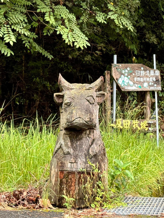 福岡直落霧島アートの森🫡自駕一日行程😝大自然與藝術融合🙆🏻‍♀️