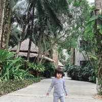🌴The Dewa Koh Chang 