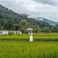 ที่พักน่าน สไตล์ญี่ปุ่นแบบชนบทวิวทุ่งนา สดชื่นมากๆ