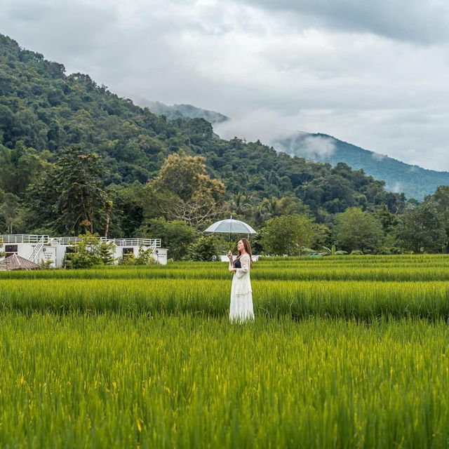 ที่พักน่าน สไตล์ญี่ปุ่นแบบชนบทวิวทุ่งนา สดชื่นมากๆ