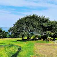 大坑墩清水灣郊野公園