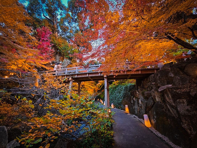 【名古屋】日本庭園の中で見る奥ゆかしい紅葉🍁