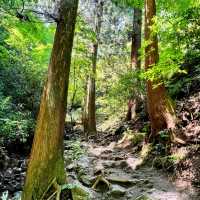 Mount Takao: Nature and serenity just an hour from Tokyo!