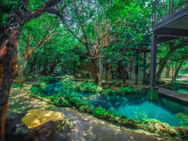 เที่ยวเชียงใหม่เหมือนอยู่ในป่าหิมพานต์ 