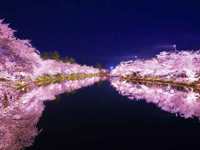 【青森/弘前】しぬまでに見たい弘前城のさくら