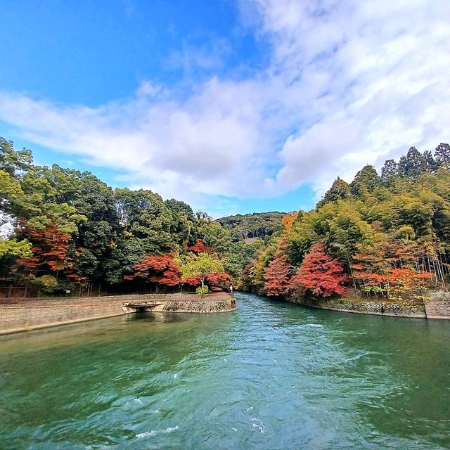 【朝霧橋:京都府宇治市】秋には紅葉と真っ赤な橋が映える美しい橋✨