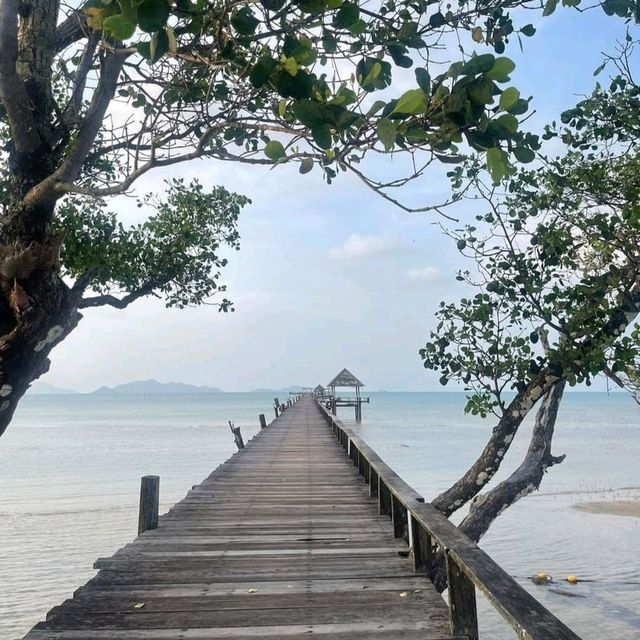 เกาะหมาก   ตราด