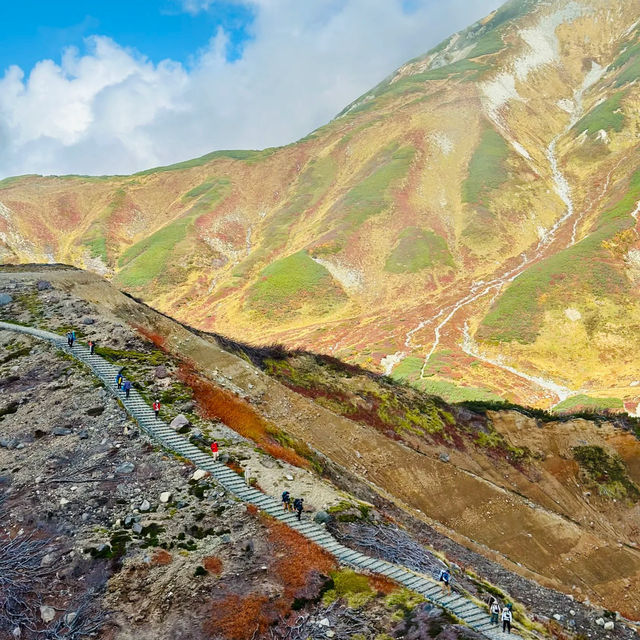 禮文岳：初秋色彩下的壯麗山景 🏞️🍂