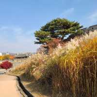 【韓国/水原】紅葉が映える秋の水原華城🍁
