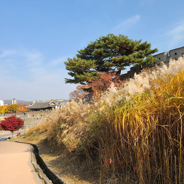 【韓国/水原】紅葉が映える秋の水原華城🍁