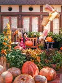 【兵庫】ハロウィンフェア開催中🎃秋のお出かけスポット！
