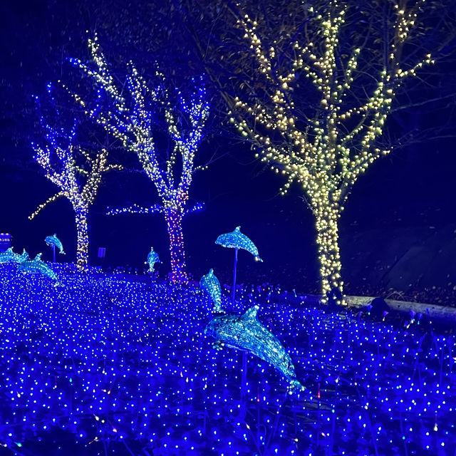 【静岡】伊豆最大級のイルミネーション🌙