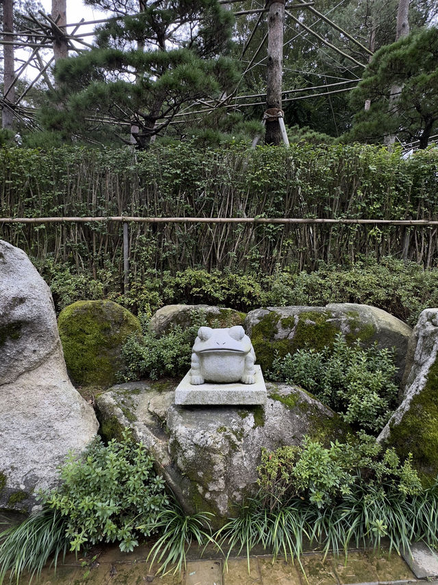 Fancy a walk in a forest around ancient fortress?