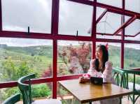 Phindeli Café