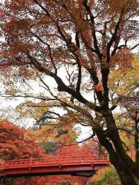北海道定山溪溫泉：🍁紅葉映襯的秋日絕景