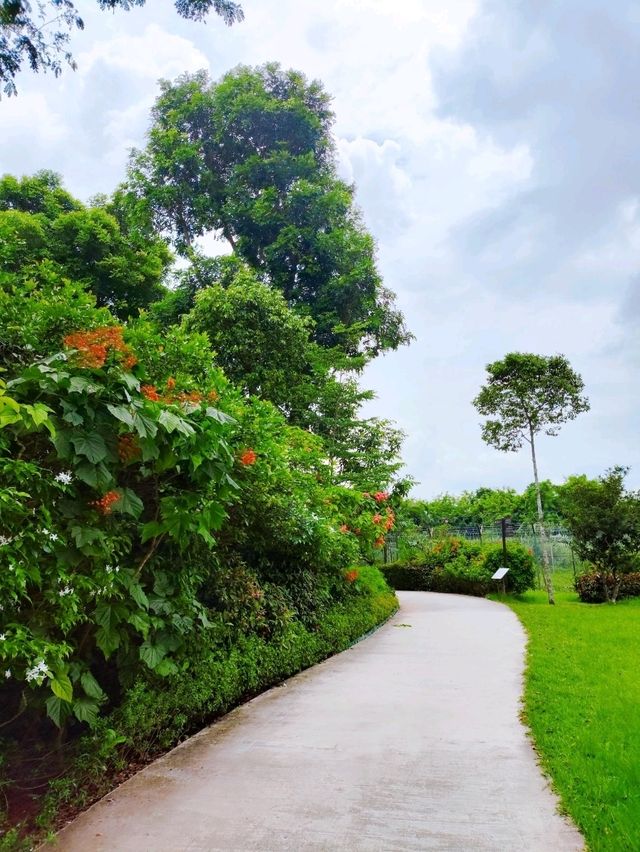 Hidden Gem Sembawang Hot Spring Park