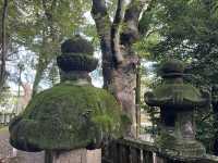 湯河原一のパワースポット「五所神社」に行ってみたら心が穏やかになった