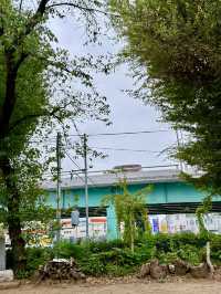 【埼玉県】茄子と悪病除けの神社