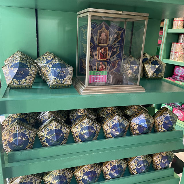 大阪・USJでニンテンドーワールドとハリーポッターを堪能✨