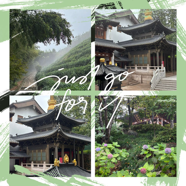 清涼寺：禪意滿滿靜謐之所 🍃🕊️