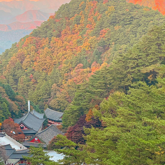 고즈넉한 가을을 제대로 즐길 수 있는 절 여행지