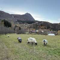 Geiranger, the place to visit!