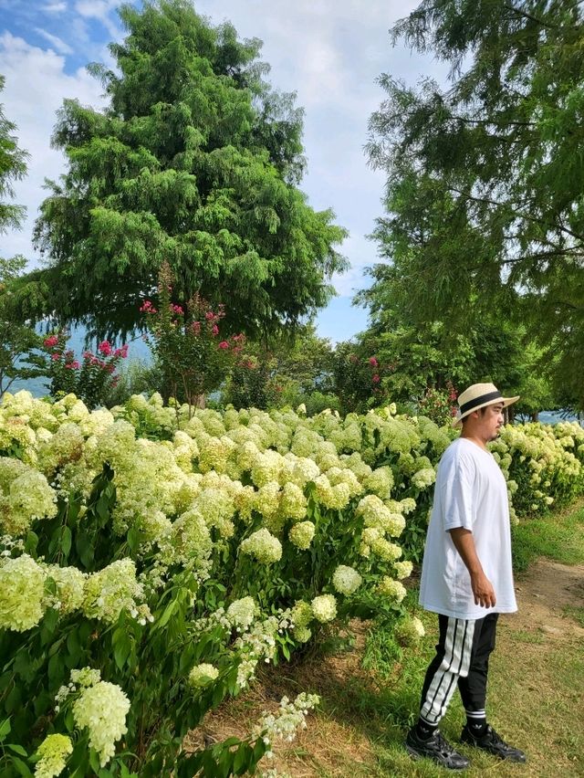 한적하게 거닐기좋은 하동여행지 동정호