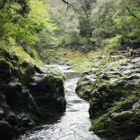 三室峽：自然詩篇 🌊🏞️