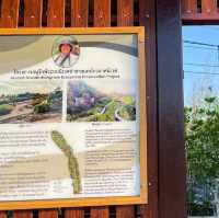 โครงการอนุรักษ์ระบบนิเวศป่าชายเลนไกรลาศนิเวศ 