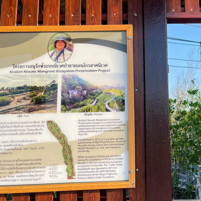โครงการอนุรักษ์ระบบนิเวศป่าชายเลนไกรลาศนิเวศ 
