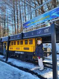 겨울시즌의 대미를 장식하는 태백눈꽃축제❄️