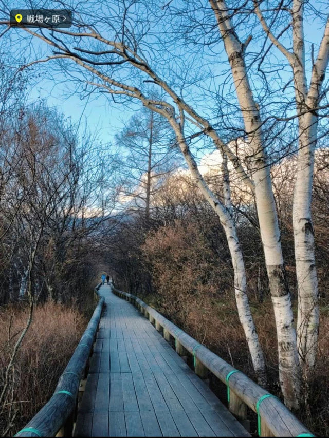 秋の絶景🍁🍂見に行くならここがおすすめ🤩🤎🧡