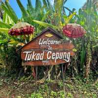 Tukad Cepung Waterfall: A Hidden Gem in Bali