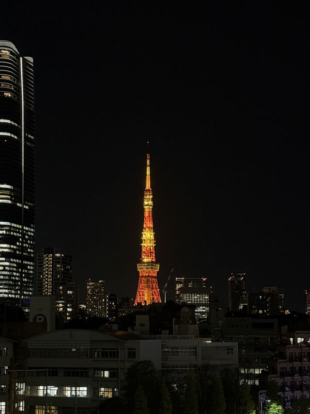 東京之旅｜六本木的聖誕節點燈！提早感受聖誕氣氛