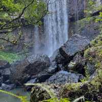 Explore the Natural Beauty of Atherton Tablelands