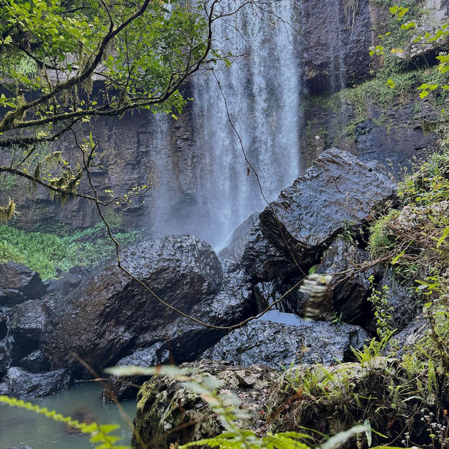 Explore the Natural Beauty of Atherton Tablelands