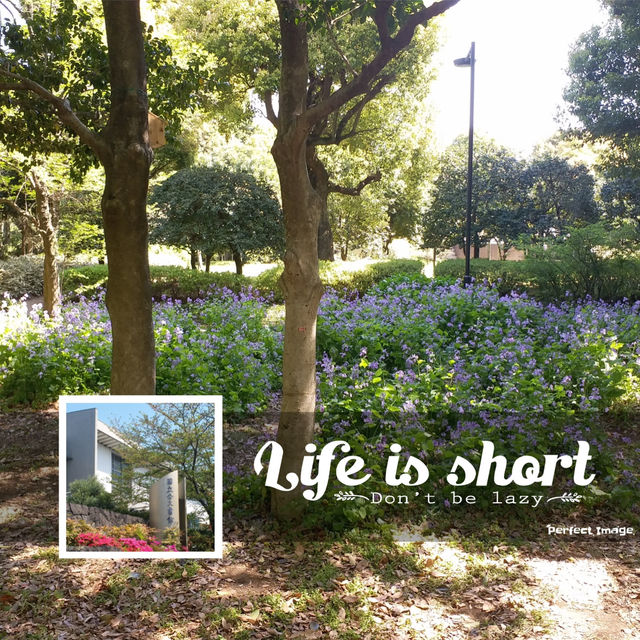 人氣打卡景點：北之丸公園