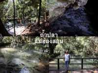 ชมปลาพวงนับหมื่น ที่ถ้ำปลา แม่ฮ่องสอน