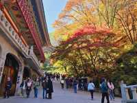Fall season at the biggest temple in Korea, Guinsa Temple